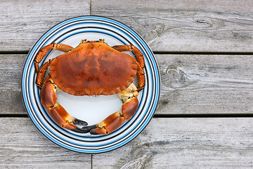 Image showing Cooked crab top view on white plate