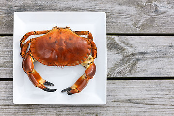 Image showing Cooked crab top view on white plate