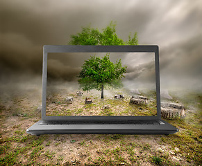 Image showing Tree and stumps on the monitor