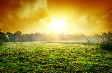 Image showing Meadow at sunset