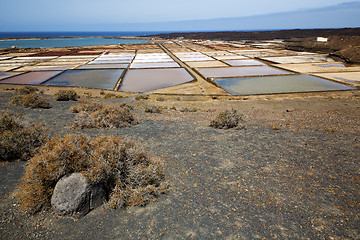 Image showing salt in  lanzarote spain musk  coastline and summer 
