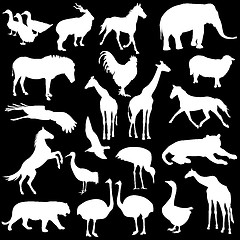 Image showing Black set silhouettes  zoo animals collection on white backgroun
