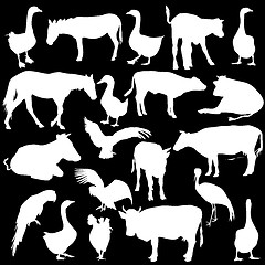 Image showing Black set silhouettes  zoo animals collection on white backgroun