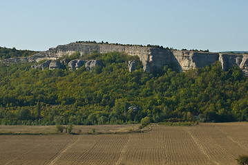 Image showing mountain Crocodile