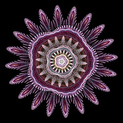 Image showing Computer generated fractal flower