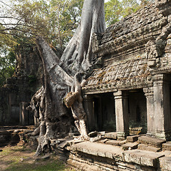 Image showing Preah Khan temple, Angkor Cambodia