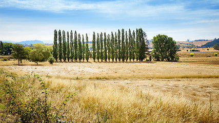 Image showing Tasmania Landscape