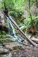 Image showing waterfall Tasmania