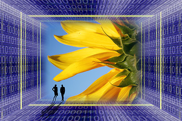 Image showing Escape from the digital captivity to the nature: binary code tunnel and a sunflower