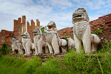 Image showing Stone lions in the ruins of an ancient temple. Thailand, Ayuthay