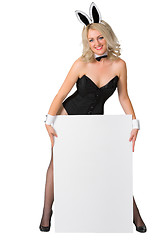 Image showing Beautiful blonde in a bunny suit with banner on white background