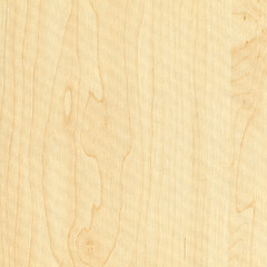 Image showing Wood