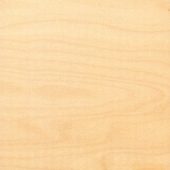 Image showing Wood