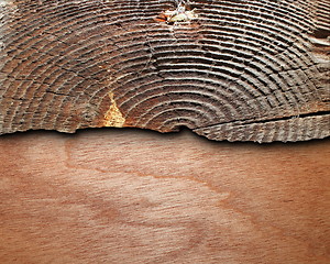 Image showing cut tree stump on wooden background