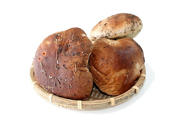 Image showing boletus mushrooms in wattle container