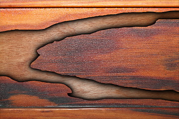 Image showing abstract combined wood textures