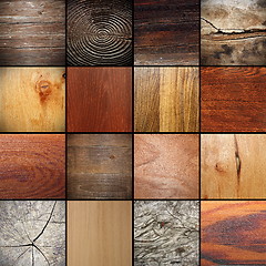 Image showing large collection of wood textures