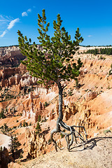 Image showing Bryce Canyon