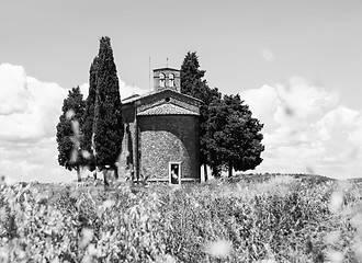 Image showing Tuscan country