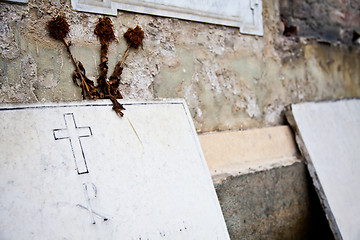 Image showing Cemetary architectures - Europe