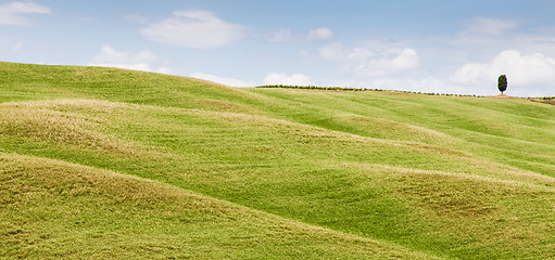 Image showing Tuscany agriculture