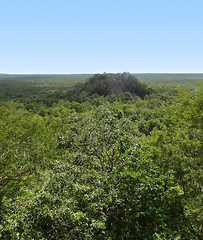 Image showing distant temple at Calakmul