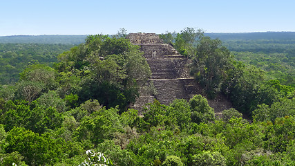 Image showing overgrown temple at Calakmul