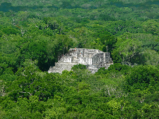 Image showing mayan temple at Calakmul