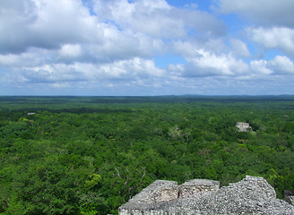 Image showing temple ruins at Calakmul