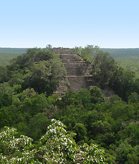 Image showing temple at Calakmul