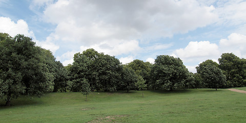 Image showing Kensington gardens London