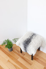 Image showing Green plant and stool covered with sheepskin in the room corner
