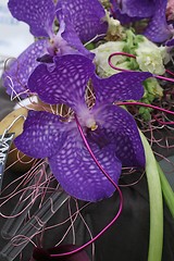 Image showing Beautiful orchid flowers