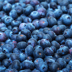 Image showing Freshly picked blueberries