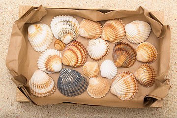 Image showing Sea shells in box