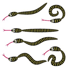 Image showing set of snakes