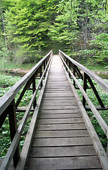 Image showing Wooden bridge