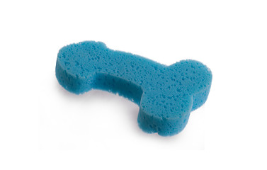 Image showing Blue sponge in the form of a penis