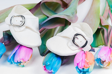 Image showing Baby shoes and unusual multi colored tulips