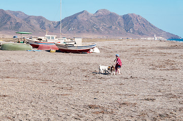 Image showing Small girl playing with dogs