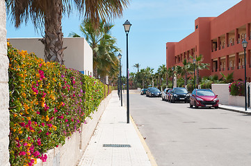 Image showing Fence of multicolored flowers