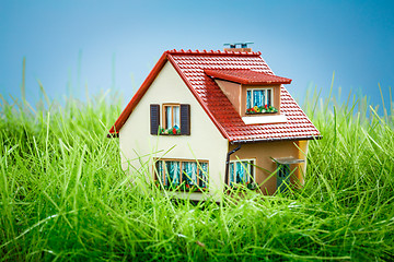 Image showing House on the green grass