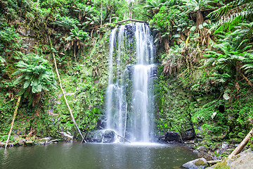 Image showing waterfall Tasmania