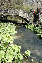 Image showing Rock bridge