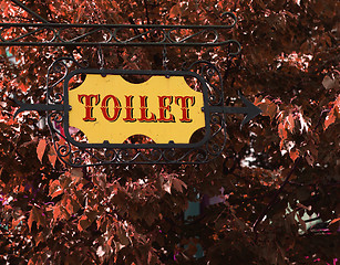 Image showing yellow old-fashioned toilet sign