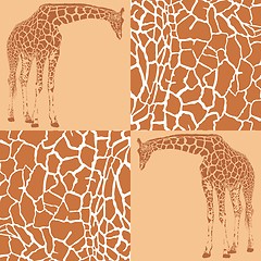 Image showing Giraffe patterns for wallpaper