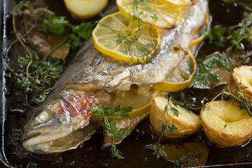 Image showing Baked Rainbow Trout