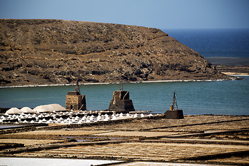 Image showing coastline salt in  lanzarote  musk 