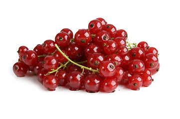 Image showing Redcurrant