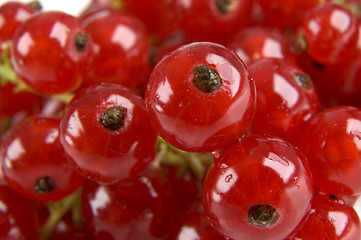 Image showing redcurrant